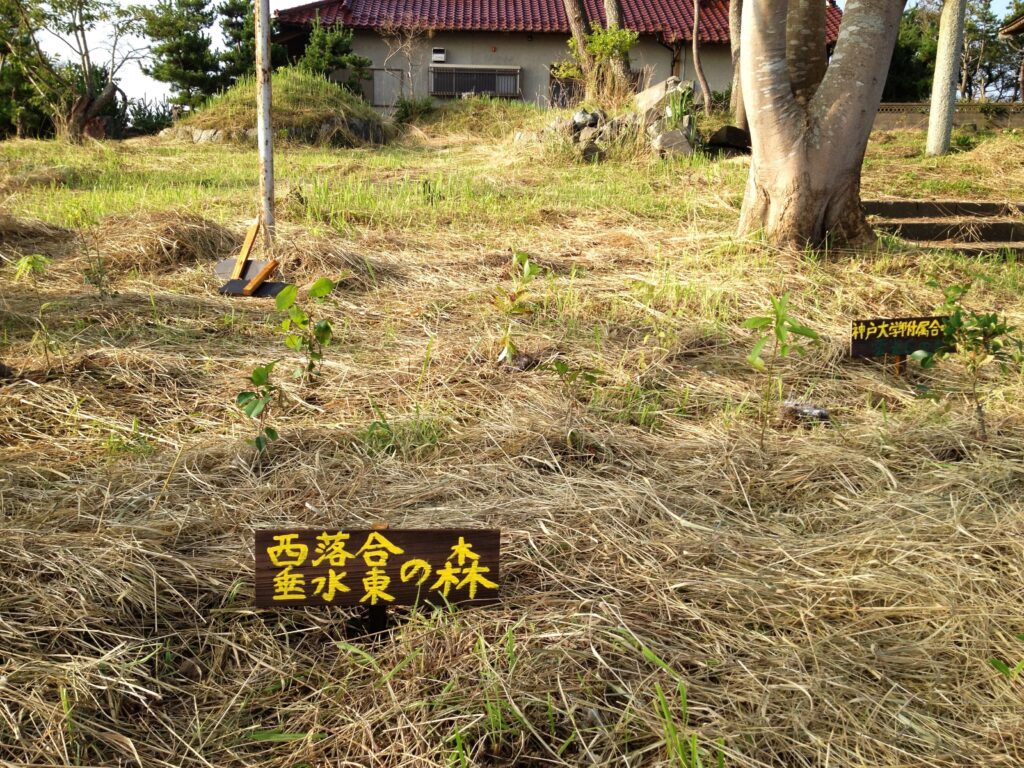 338BBA3C-A890-428E-B7C5-BBC1DDF7B89E