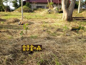 338BBA3C-A890-428E-B7C5-BBC1DDF7B89E