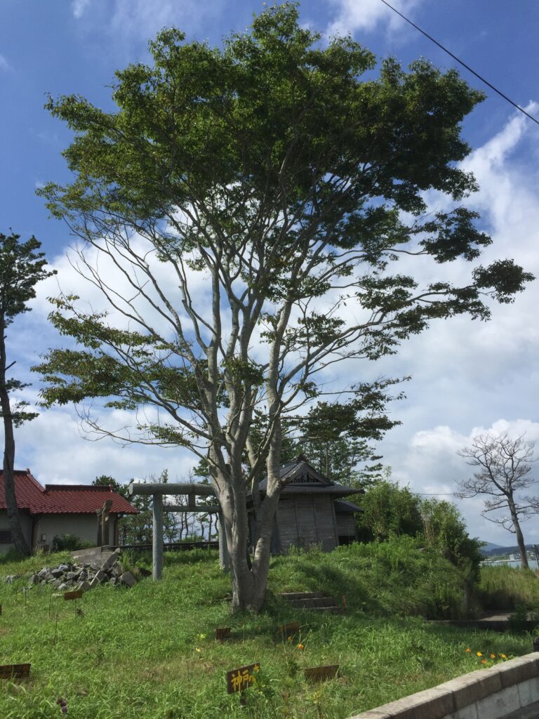 39679F80-9532-4D2D-966D-CD68BF6DA286