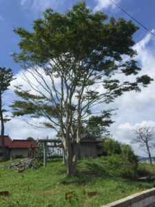 39679F80-9532-4D2D-966D-CD68BF6DA286