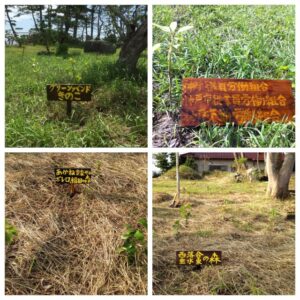 70E1A23F-94B1-4787-9371-294BCC775CE1