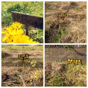 7E0DA759-0571-46F8-86AE-CAD4A11757C5