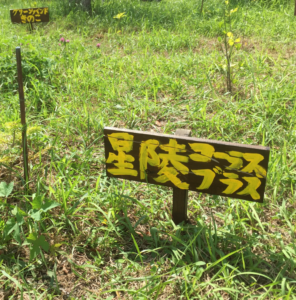 8BBE0948-D935-42EC-843A-AC83B1551A92