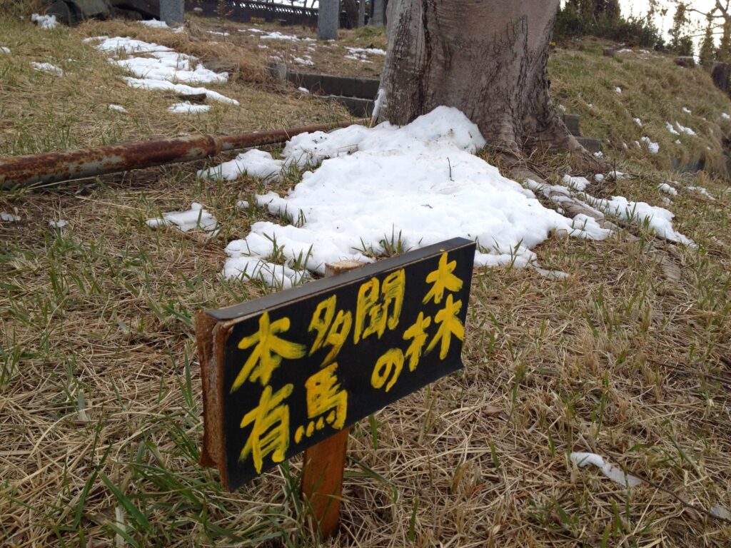 9DCA749D-6AEB-46D1-B45F-F51AC9E81AC8