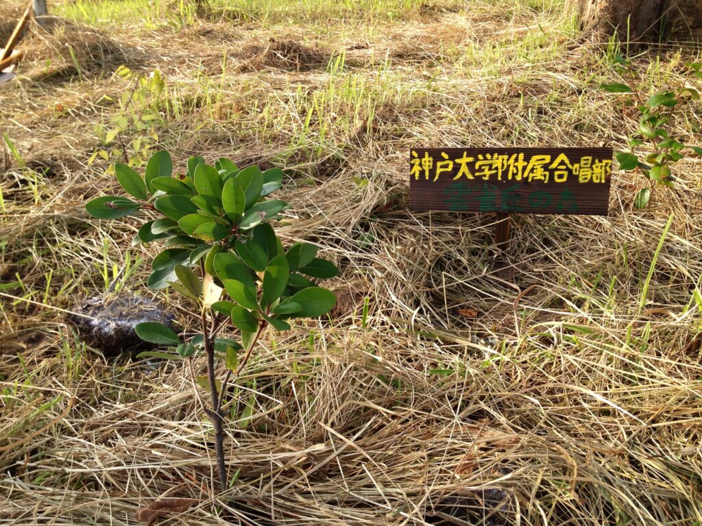 A2BDF68C-62FD-47BF-A5B5-7E820B410B58