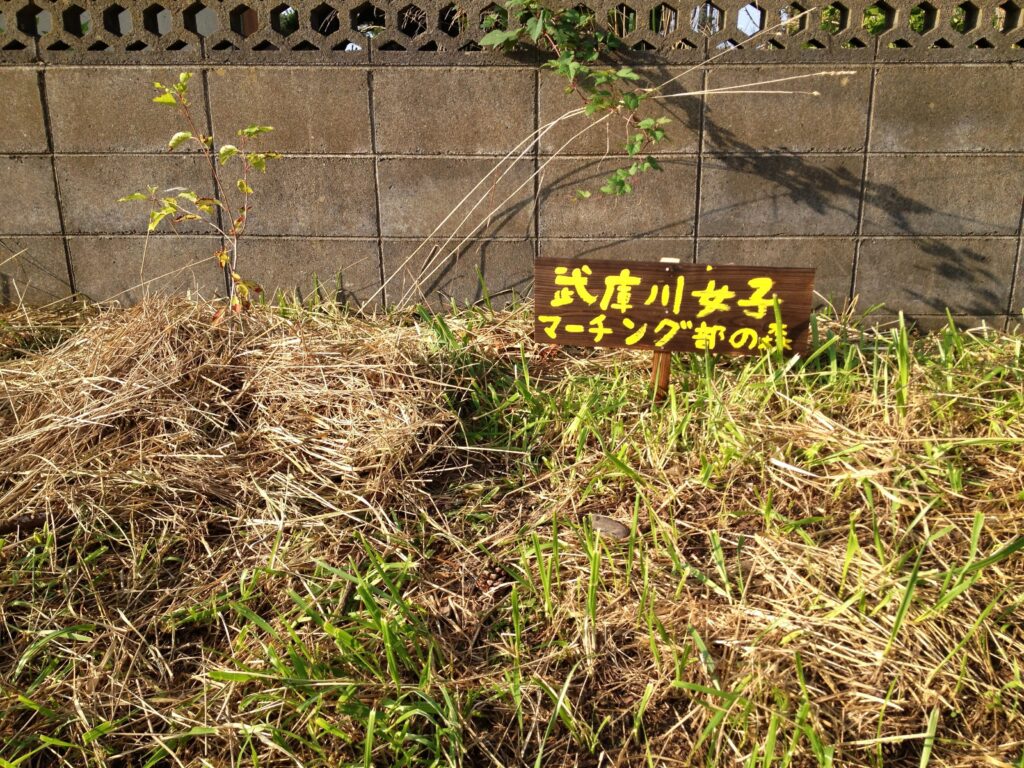 BFF8C95F-50FF-4ABA-B642-E744BEF24FC7