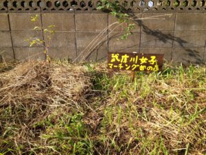 BFF8C95F-50FF-4ABA-B642-E744BEF24FC7