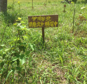 EFEFEC8B-1FB8-4D0C-BBD1-F1D962314D08