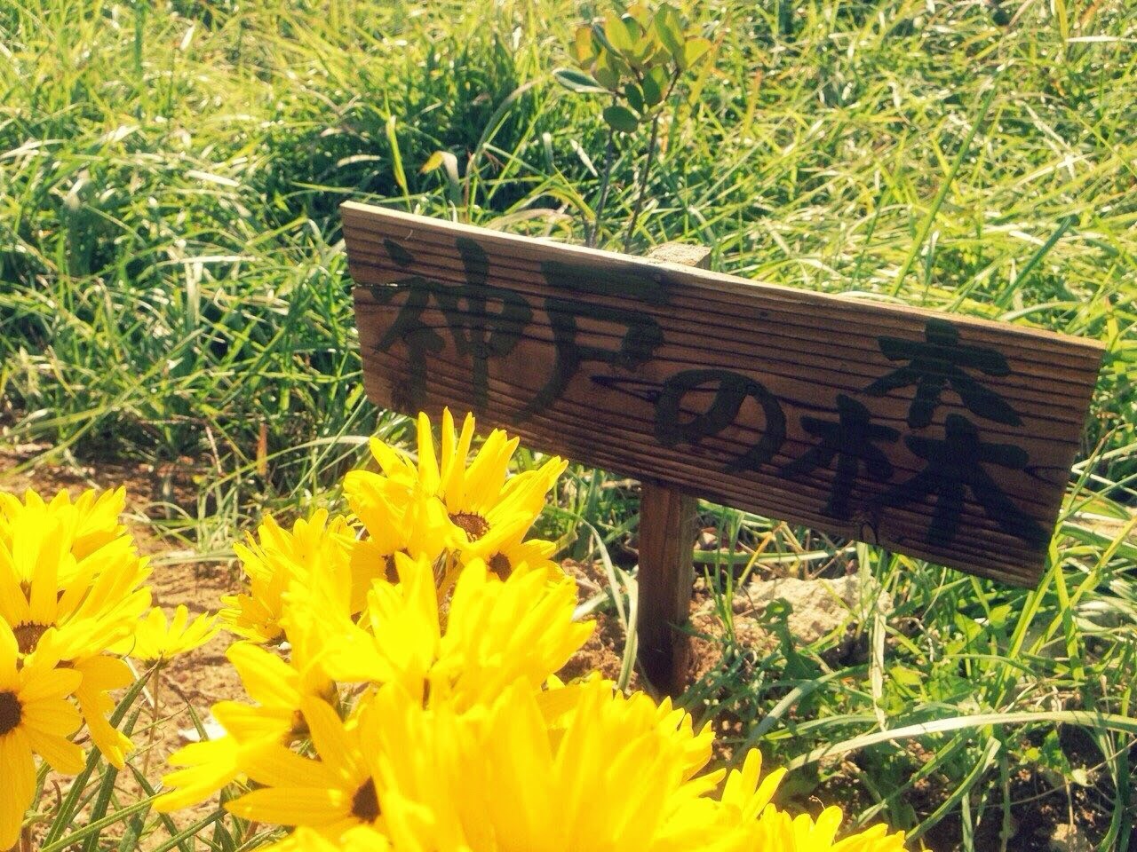 f5c5e4_3f4e9198973941e9af4ffd2d217ecf14