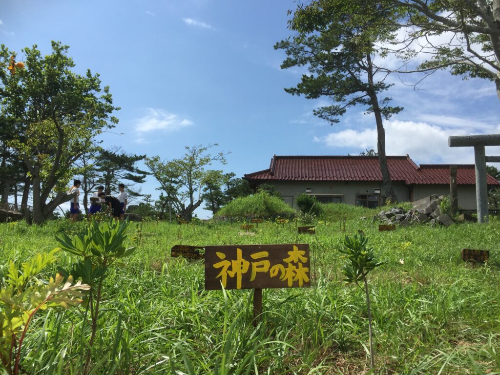 f5c5e4_f17dcc25270744fca3205d66d0d374a2