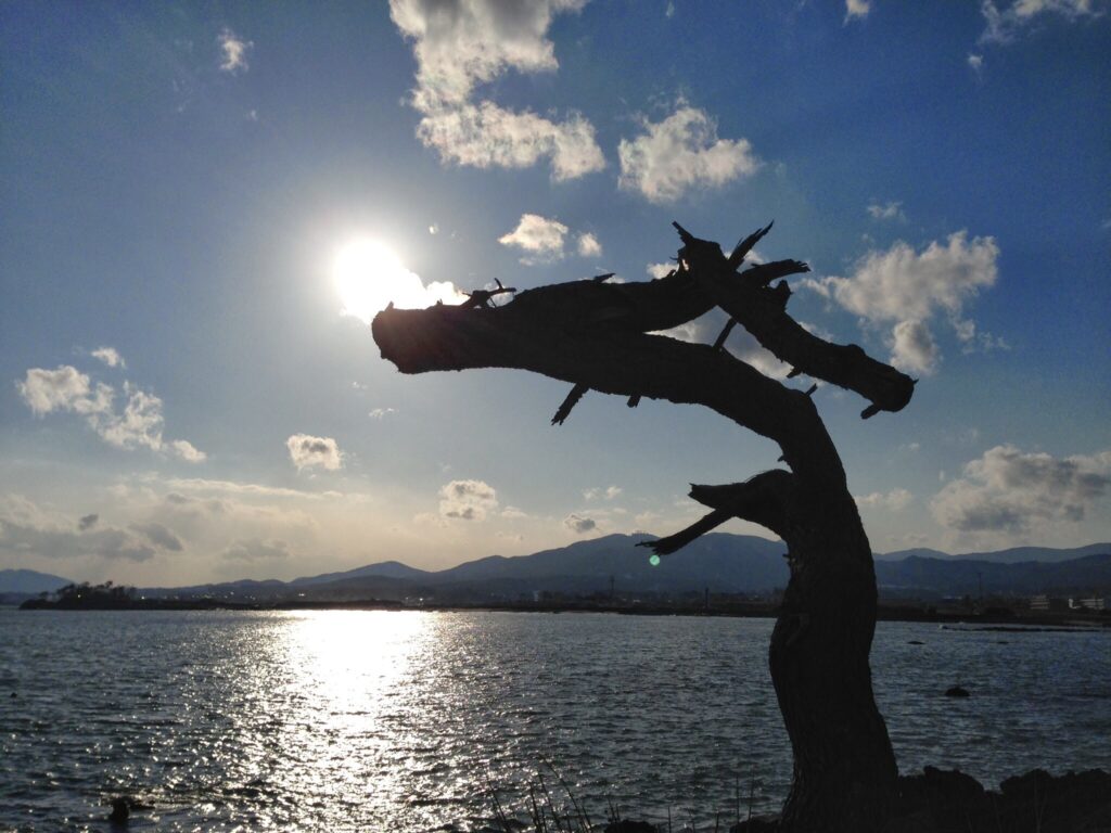 9F07BCE0-5A15-4B53-A51D-DF610FAFC167