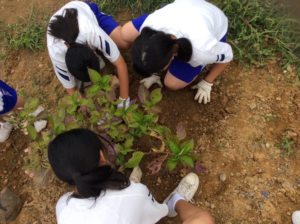 116E7FD8-456E-42D5-8722-BE7A8DBC611A