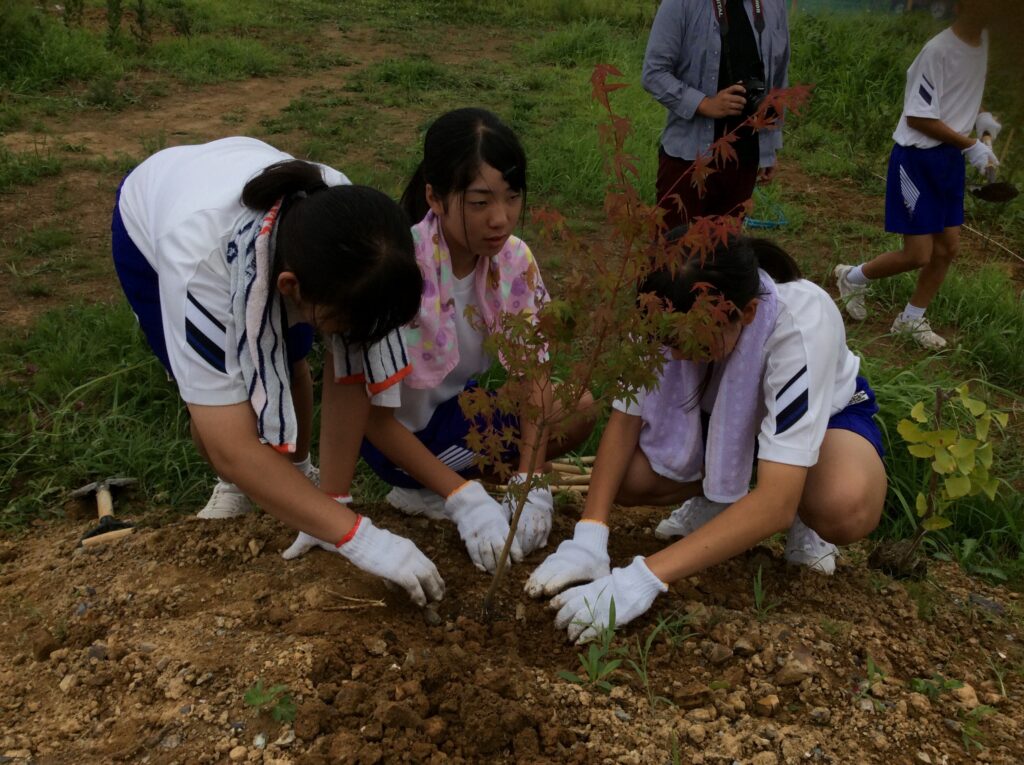 226B3298-1BEA-47A0-9235-4269DBBB7C2E