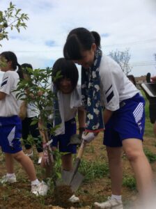 DF54DDA0-5F59-4DBB-AC41-961420128800