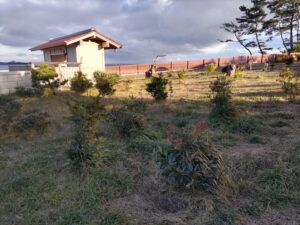 02BCBA35-E3B3-4E2C-A606-47D04726CD2C