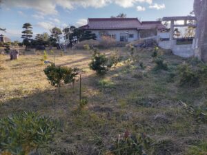 DEEA9120-D77E-49C2-ACAA-8BB19138EBEA